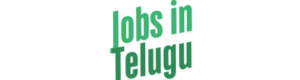 Punjab National Bank Recruitment 2024